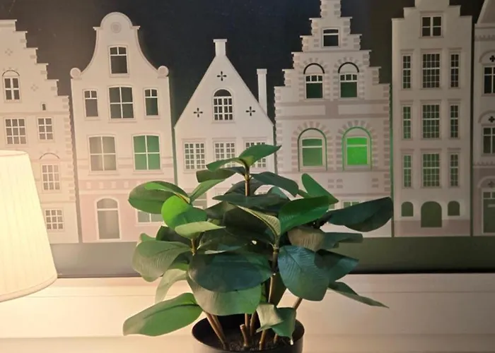 Auberge de jeunesse Guide